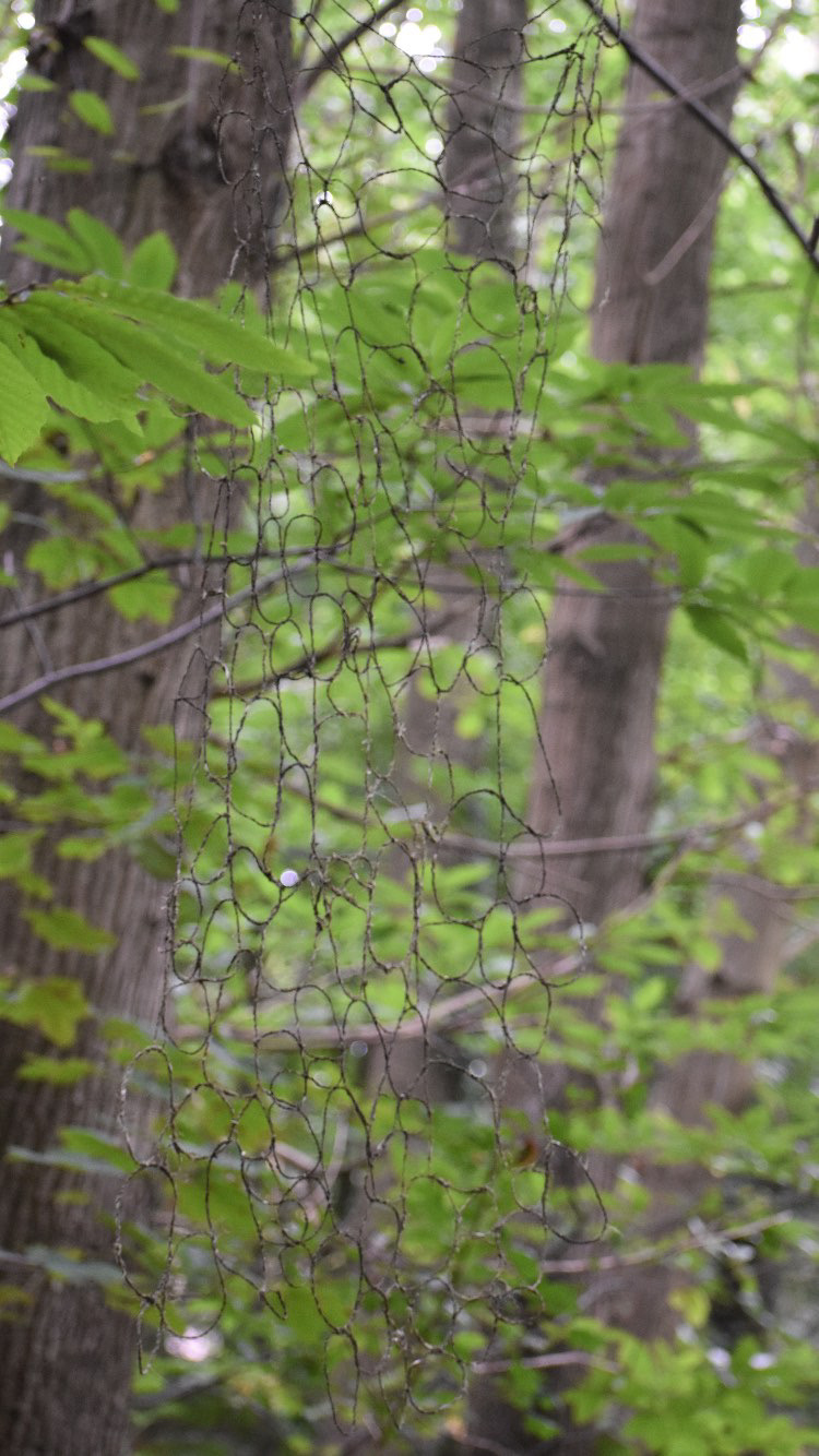 3BAD844F-1553-4B46-A234-FFC798FD92E4