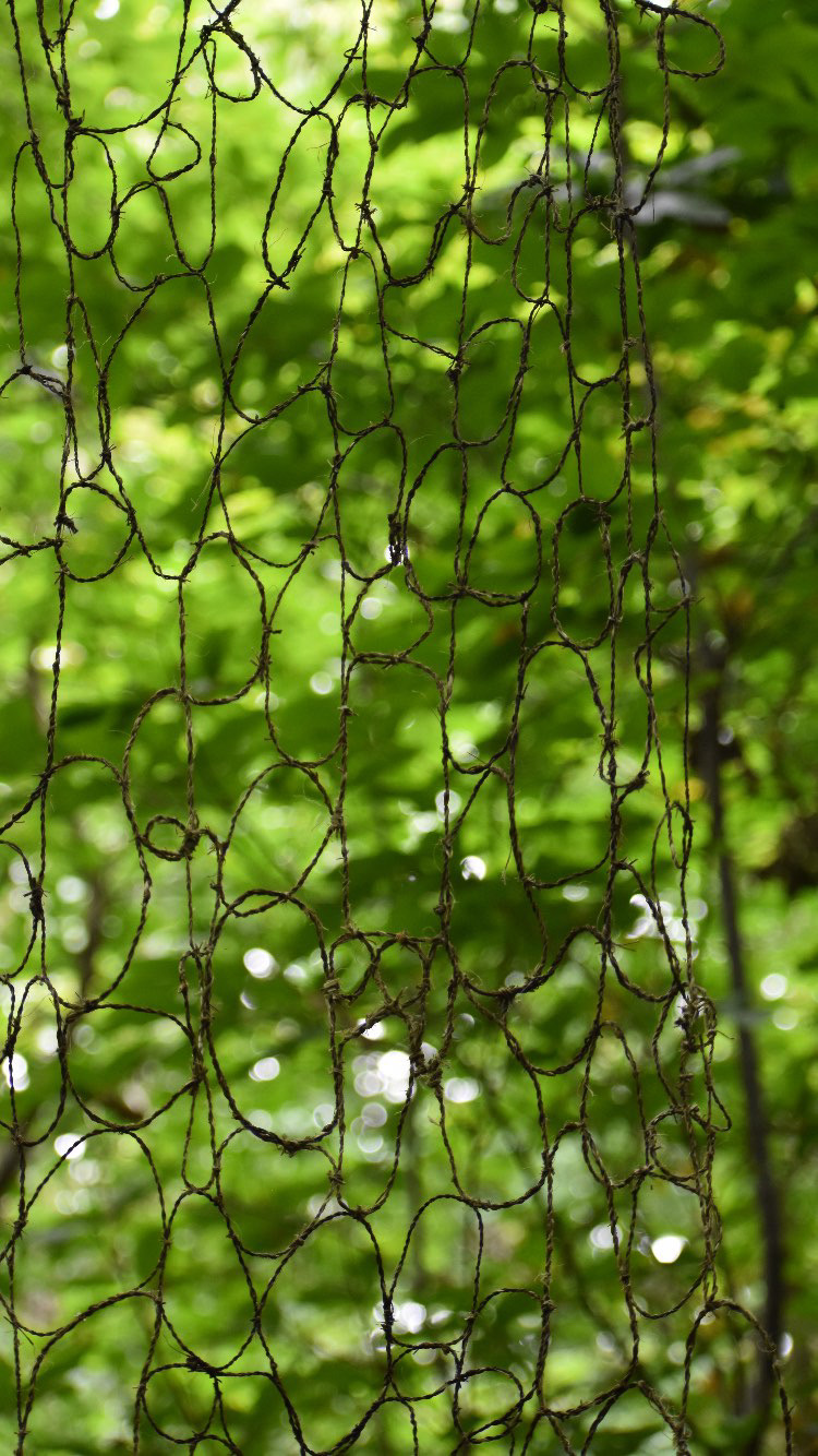 4D90388D-FCCF-4873-8E57-BA8170D7FC4A