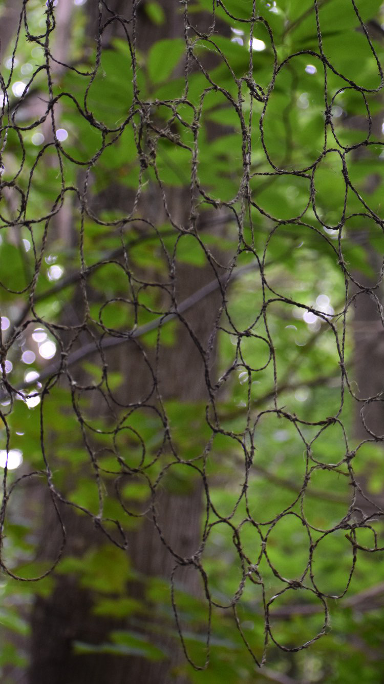 4EAC7238-C0CD-4419-908B-44ADE39980C9