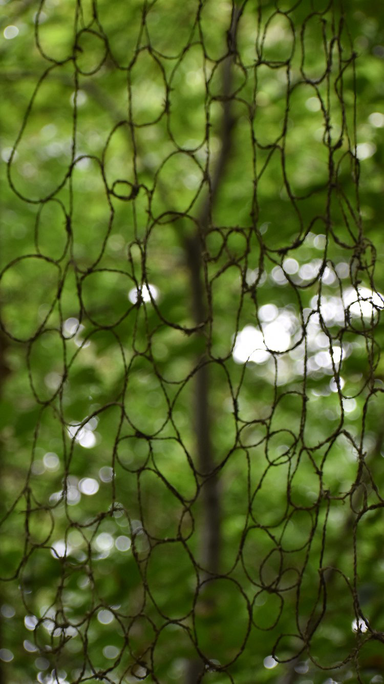 5A735EC8-A0E1-40E2-9255-AA4AA248FCE5