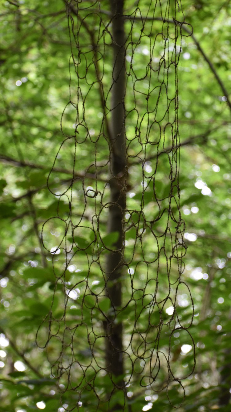 C222A61B-F1EF-4BCA-B8D6-34A33030054B