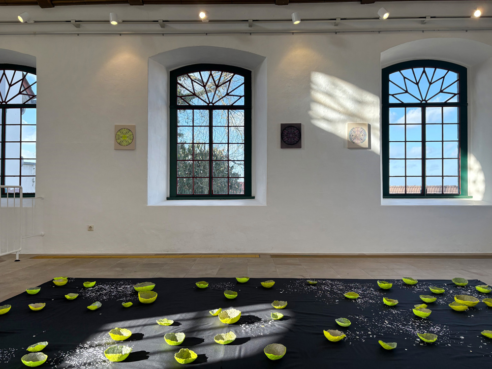 Gseamtansicht-Cosmic-Vessels-2025-2