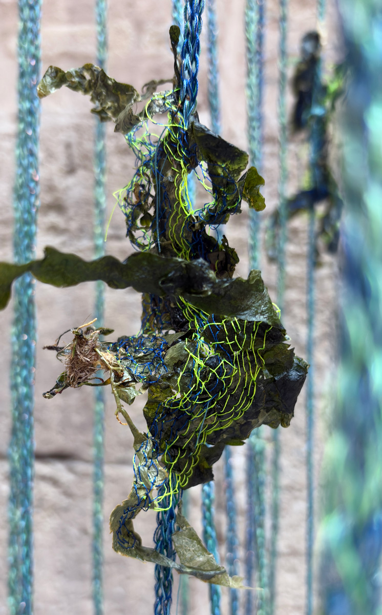 Growing-Metaspecies_2025-1_Alexandra-Knie