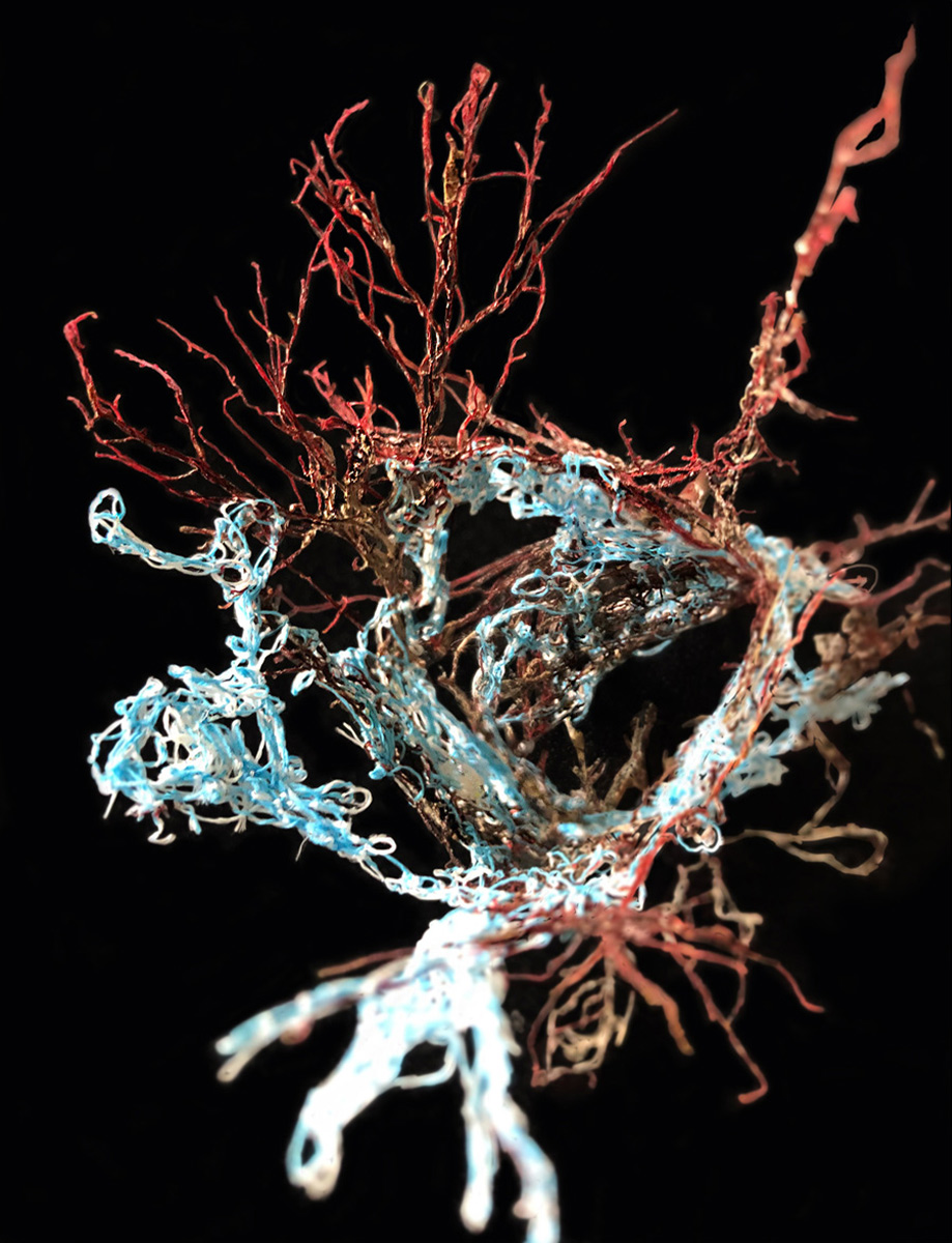 Intervened Alage_Alexandra-Knie_2022