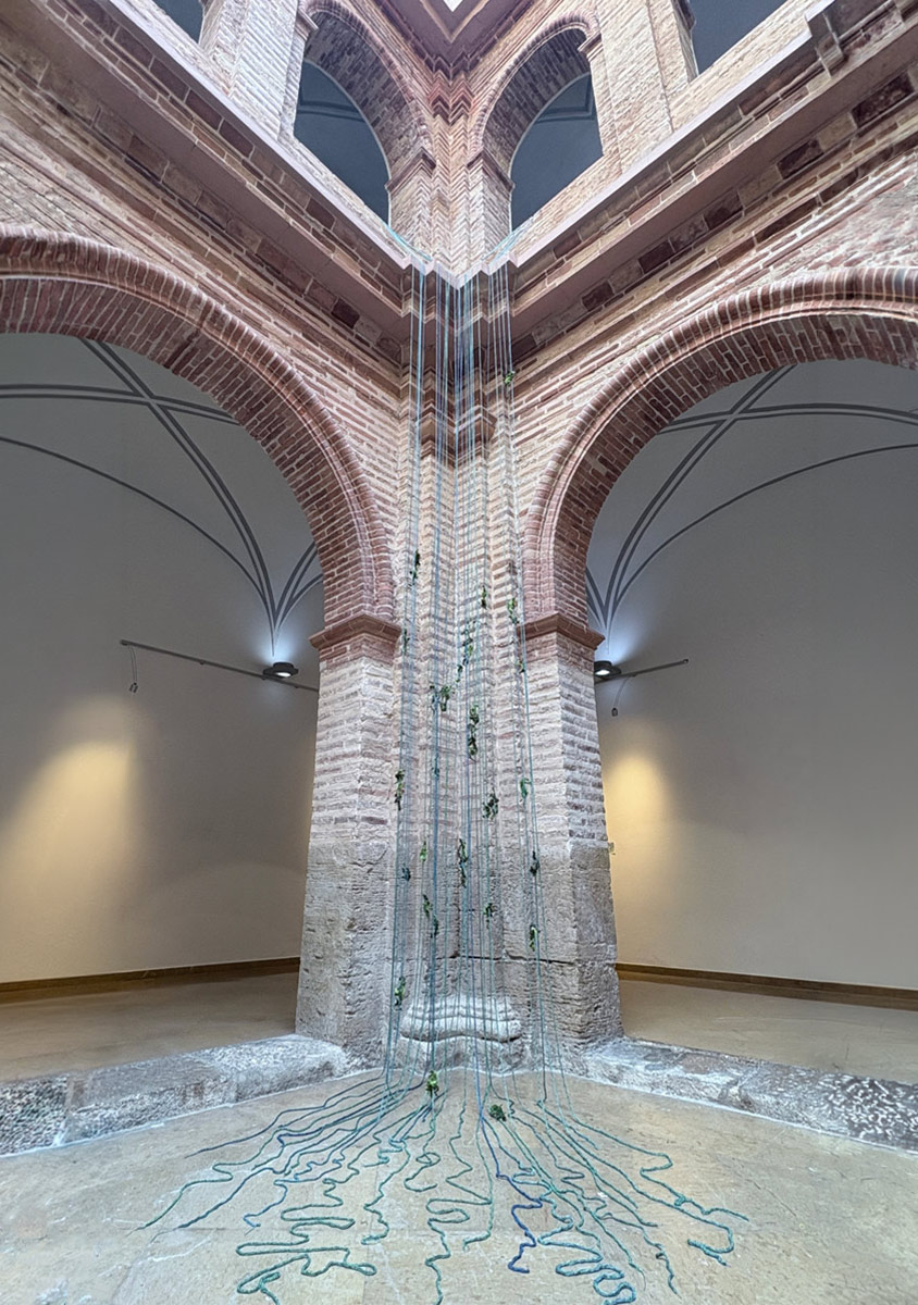 Growing-metaspecies6_2025_Alexandra-Knie